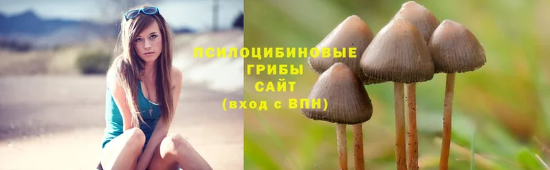 OMG ссылки  Кизляр  Галлюциногенные грибы MAGIC MUSHROOMS  купить наркотик 